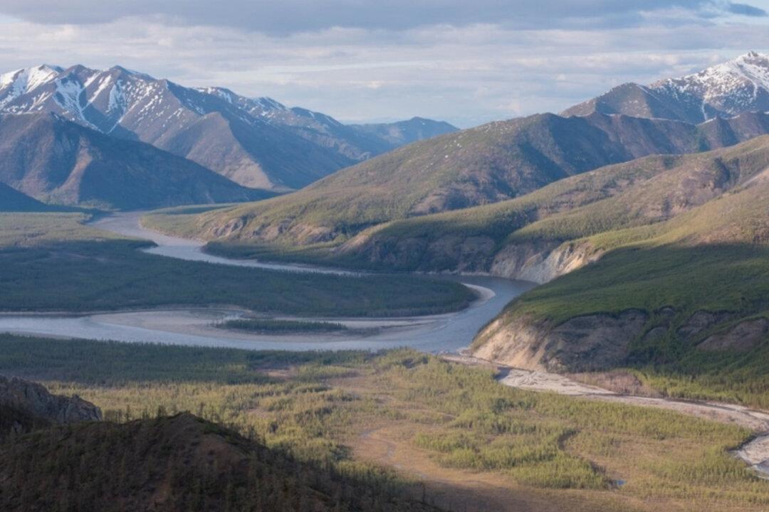Perfectly Preserved 18,000-Year-Old ‘Puppy’ With Whiskers Found in the Siberian Permafrost