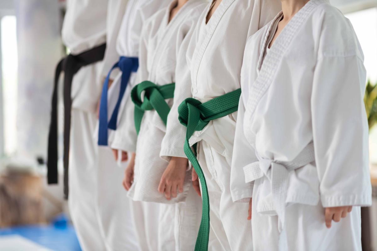 Illustration - Shutterstock | <a href="https://www.shutterstock.com/image-photo/before-training-children-wearing-colorful-belts-1423910330">Dmytro Zinkevych</a>