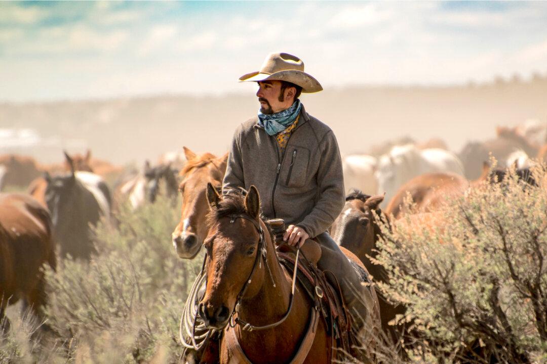 Cowboy Shocked to See Wild Mustangs in Captivity, Dedicates 11,000 Acres to Wild Horse Sanctuary