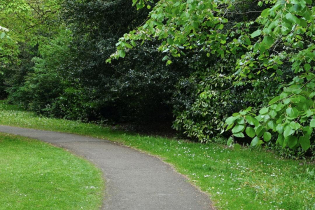 Girl Feels ‘God' Telling Her to Go Out, Then She Hears Faint Cries Coming From Bushes