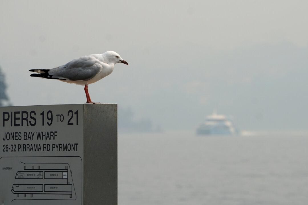 Australians Flee as Soaring Temperature, Winds Threaten to Fan Fires