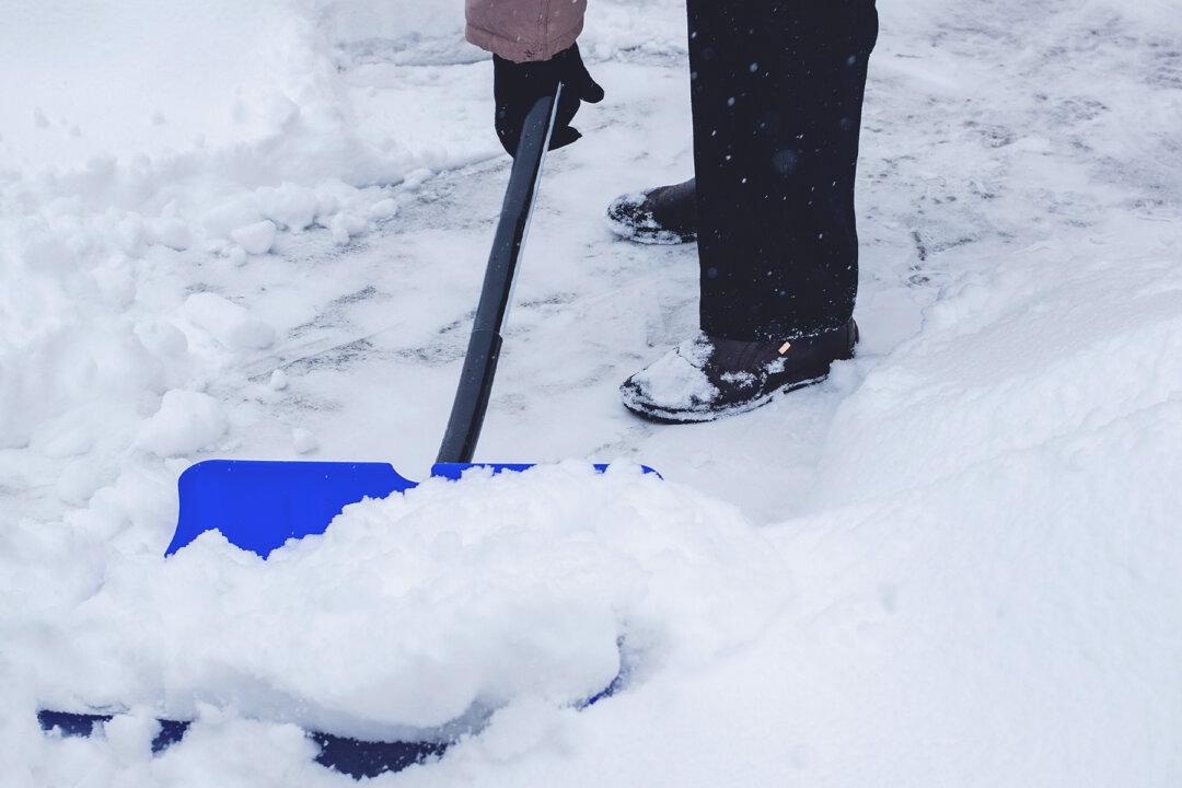 Park Employees Clear Snow So Elderly Widower Can Visit Late Wife’s Memorial Bench All Winter