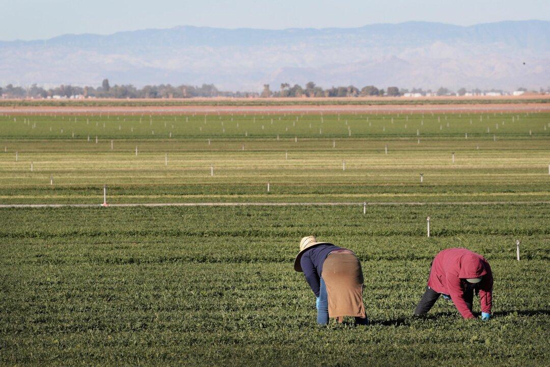 California’s Poor Water Policies Threaten Agricultural Supply