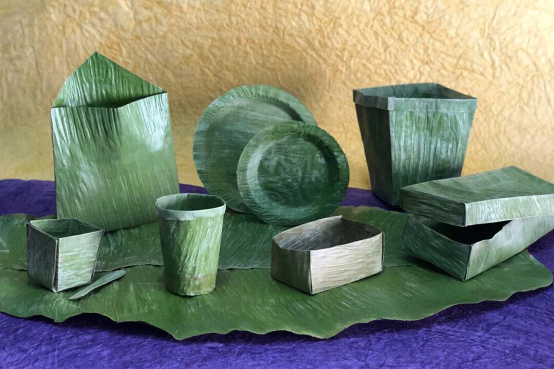 20-Year-Old Inventor in India Creates Biodegradable Plastic Substitute Made From Banana Leaves