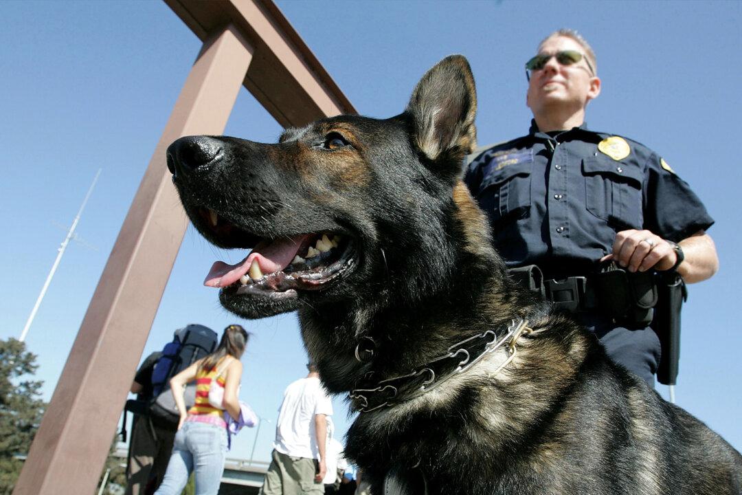 California’s Plan to Ban Police Dogs for Crowd Control, Arrests Stalls in Assembly
