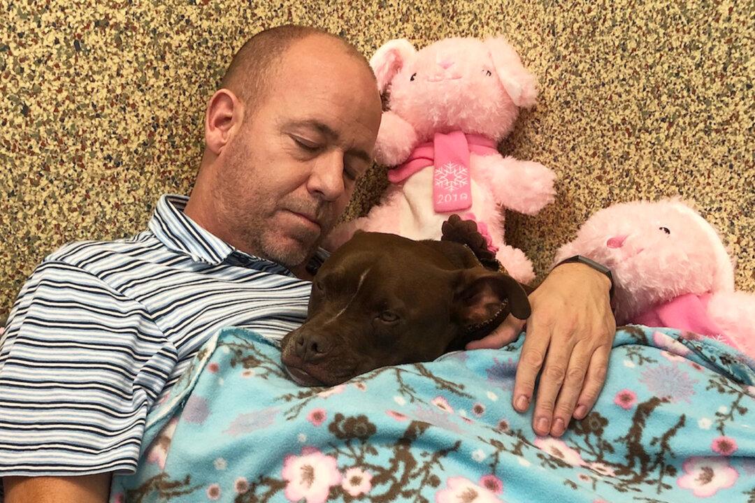 Dog Shelter Volunteer Moves Into Kennel With Lonely Dog Nobody Wants to Help Her Get Adopted