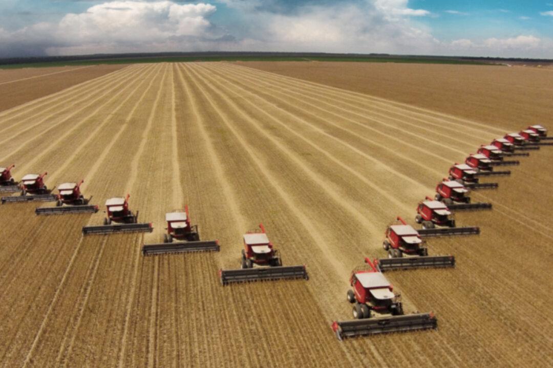 Farmer With Stage 4 Cancer Is Too Ill to Harvest Crops–So an Army of 18–Wheelers Pulls Up to Help