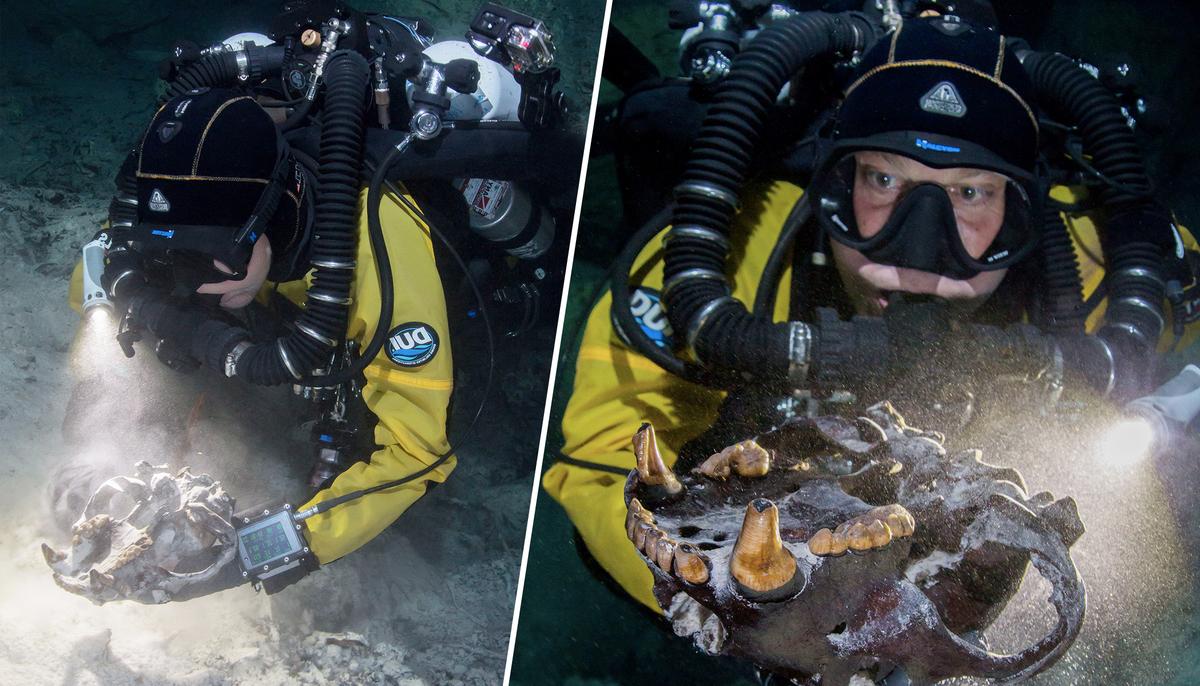 Bones of Ice Age Beasts From Over 13,000 Years Ago Found in Underwater Cave in Mexico