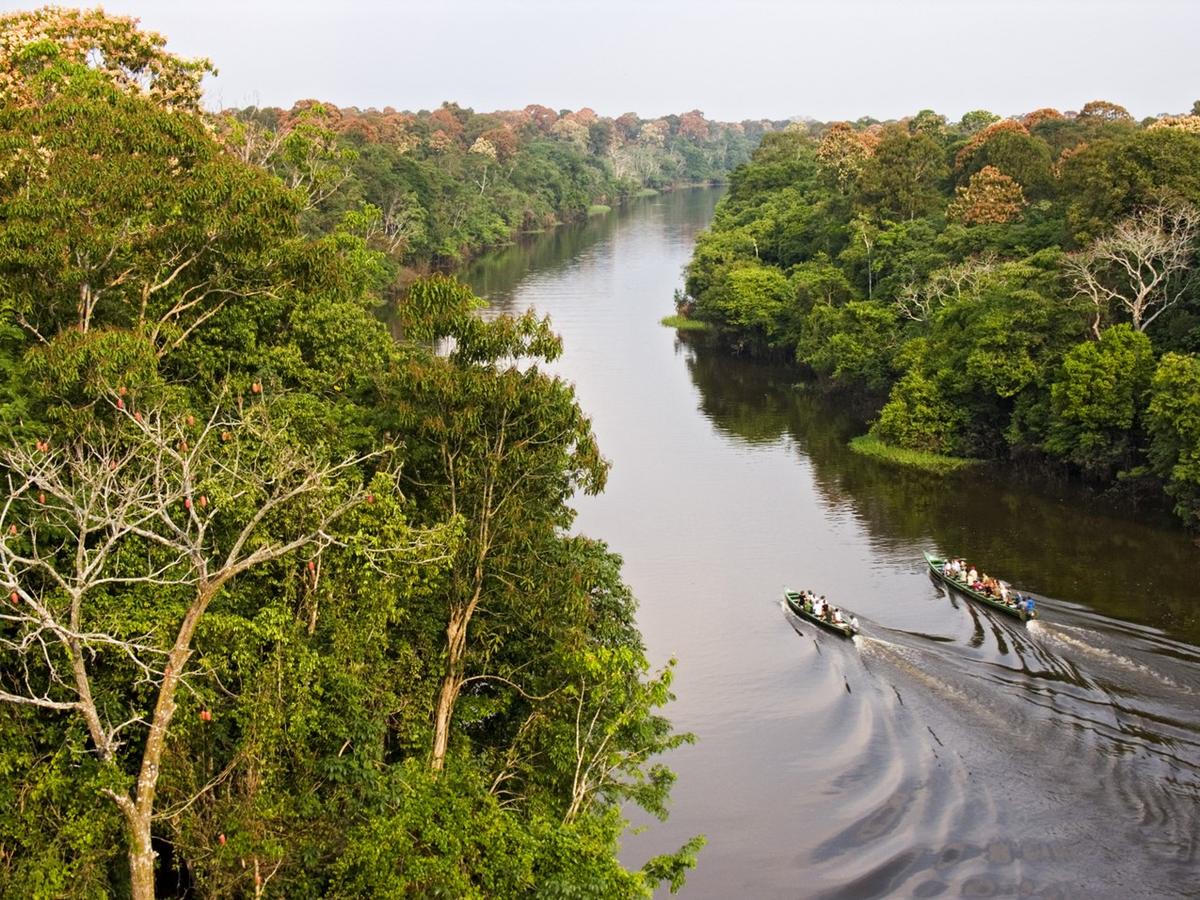 Voyage to the Heart of the Amazon