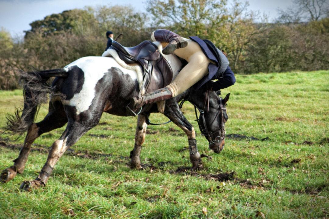 Woman Fractures Her Skull After Being Thrown from Horse–Then a ‘Miracle’ Happens, Thanks to Prayer, Family Says