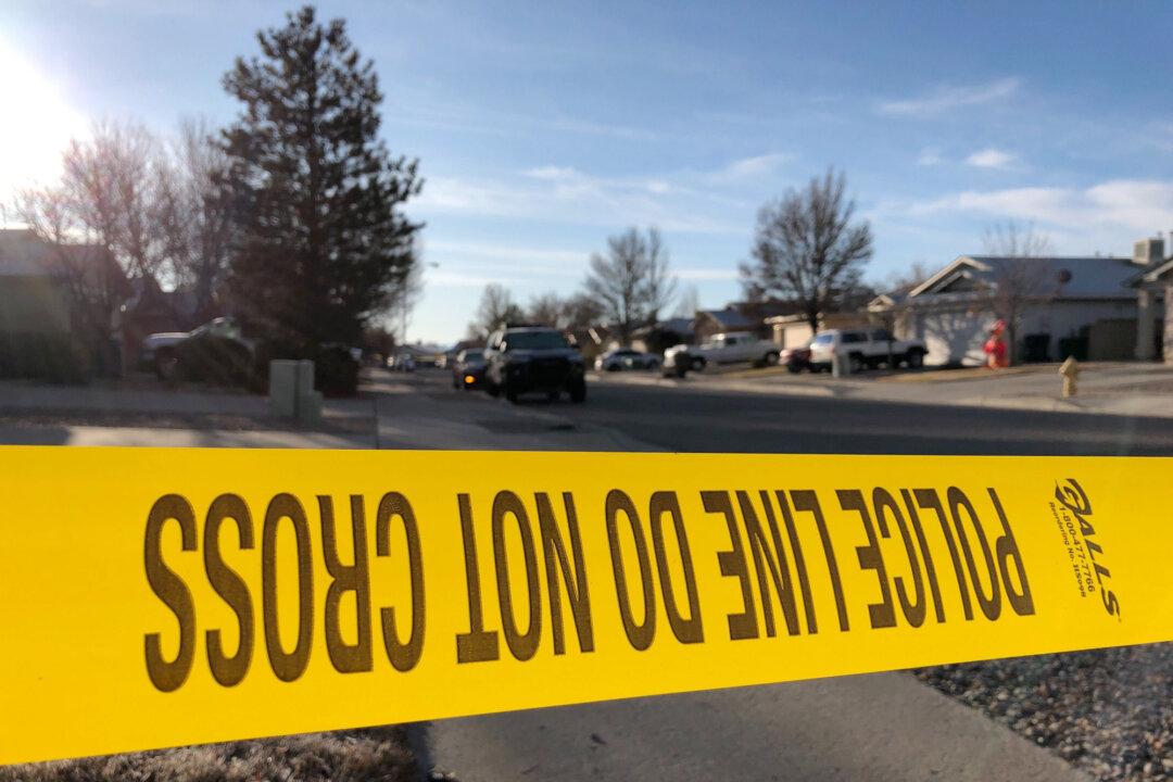 Dashcam Video Shows Attack, Strangulation on Illinois Officer During Traffic Stop