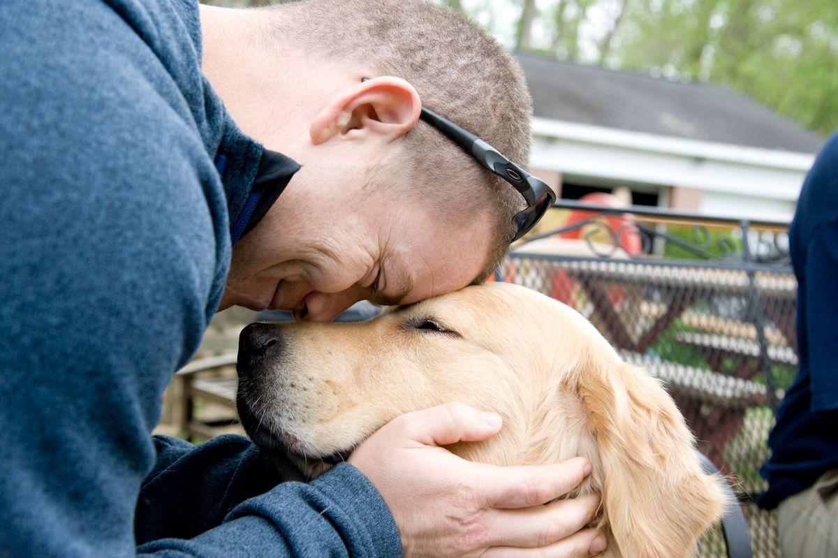 How Training These Service Dogs Helps Veterans Heal