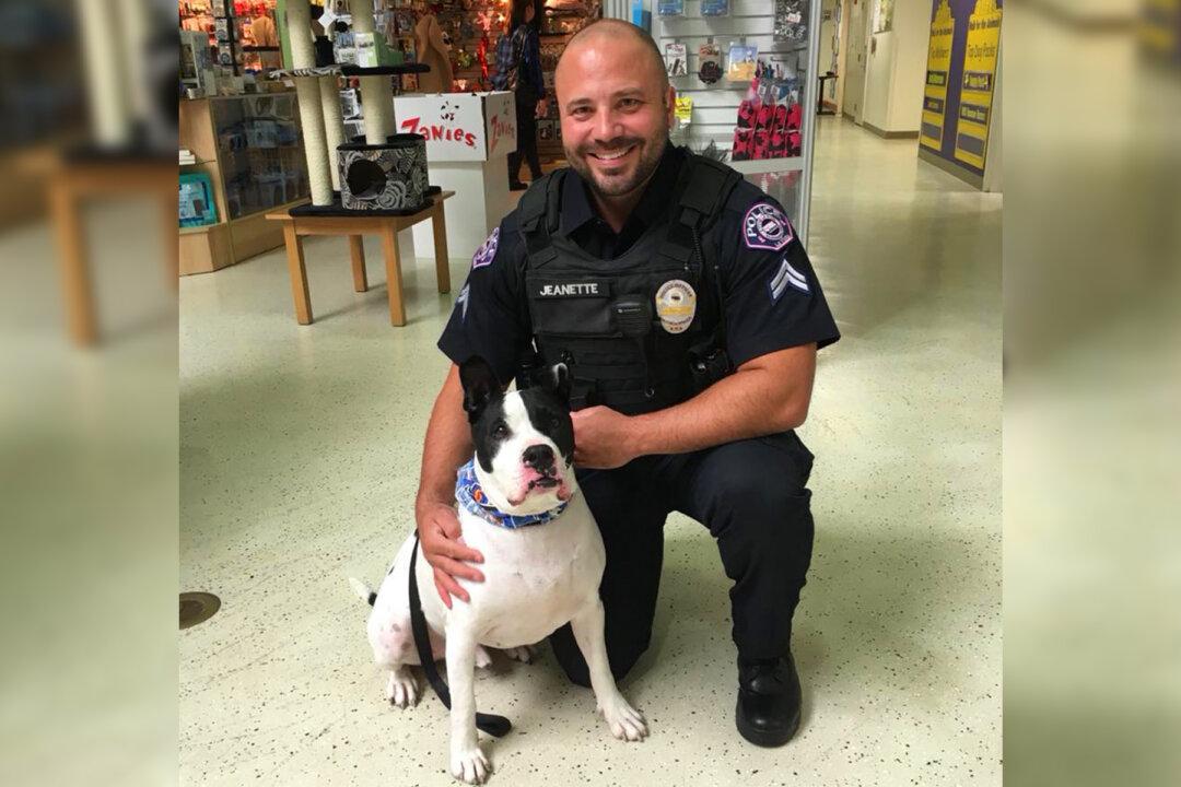 Police ‘K9 for a Day’ Program Takes Shelter Dogs Along on Patrol Rides and Helps Them Get Adopted