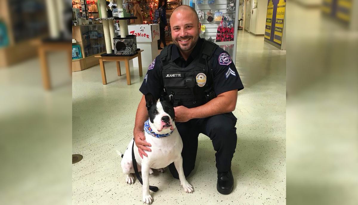 Police ‘K9 for a Day’ Program Takes Shelter Dogs Along on Patrol Rides and Helps Them Get Adopted