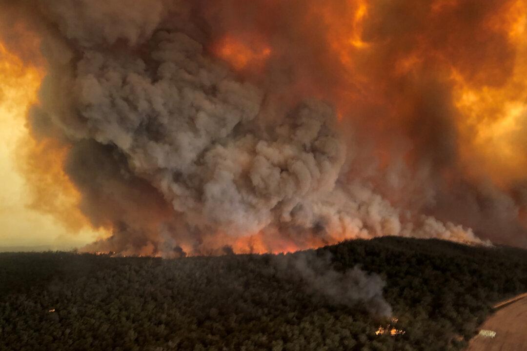 Burnt Infrastructure Still Unrepaired Post-2019 Bushfires: Opposition