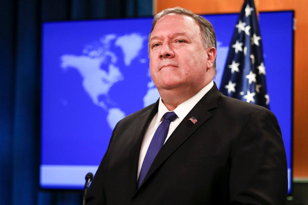 China Gave Imperfect Data on Coronavirus Epidemic: Pompeo