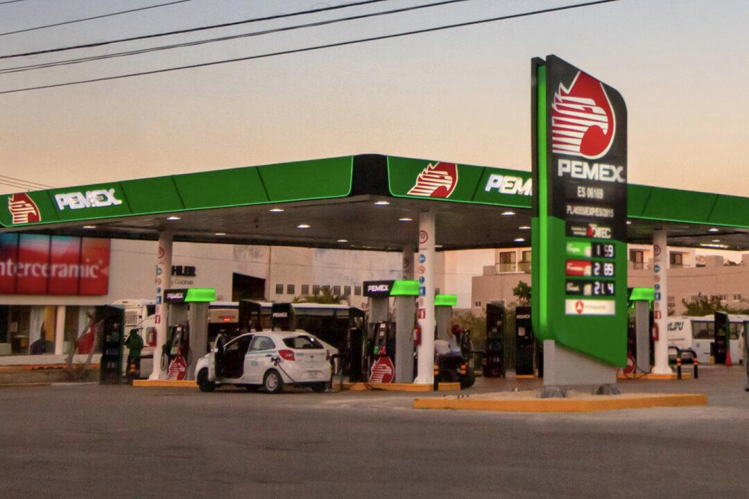 Gas Station Attendant Ambushed by 2 Men at Night–Then Station’s Adopted Dog Leaps Into Action