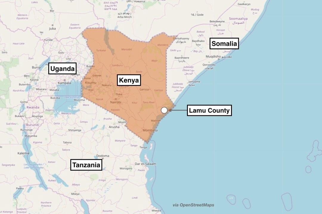 US Military Says It Killed Terrorist Leader Who Plotted Kenya Attack