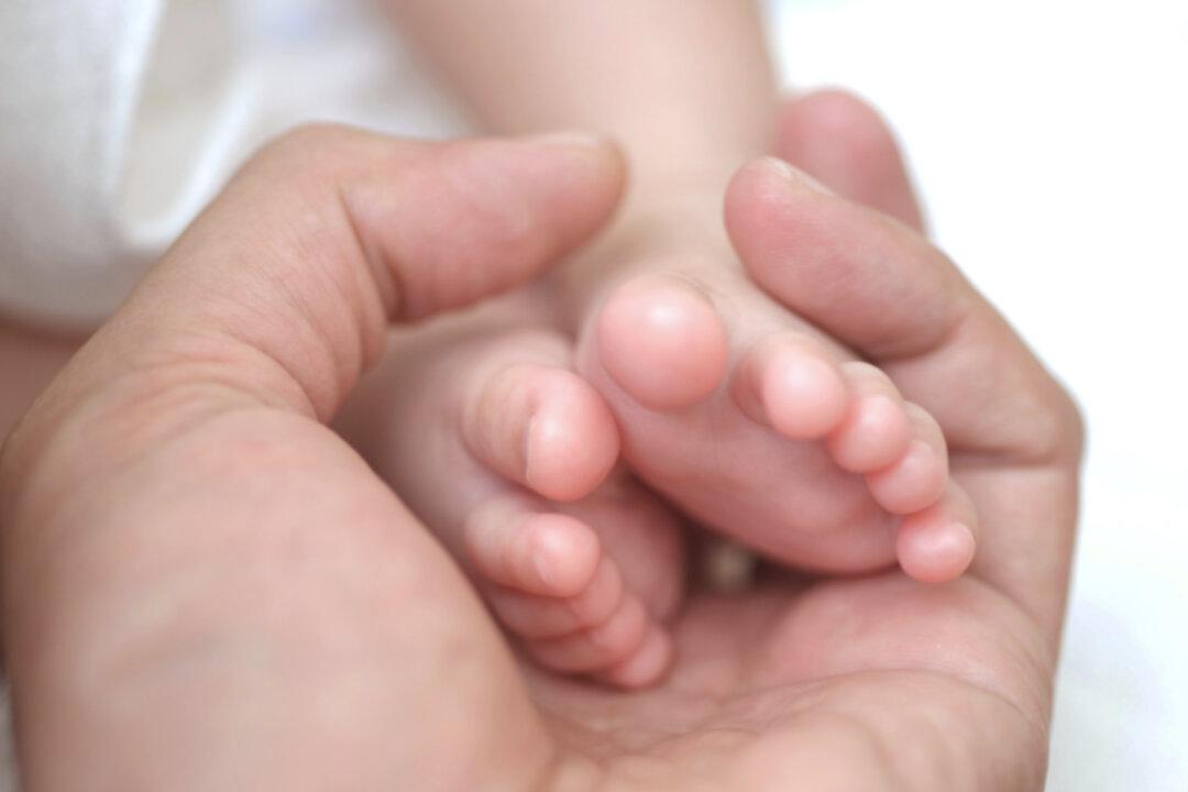 Famous Conjoined Twins Abby and Brittany Are 29 Now and Teaching in a School