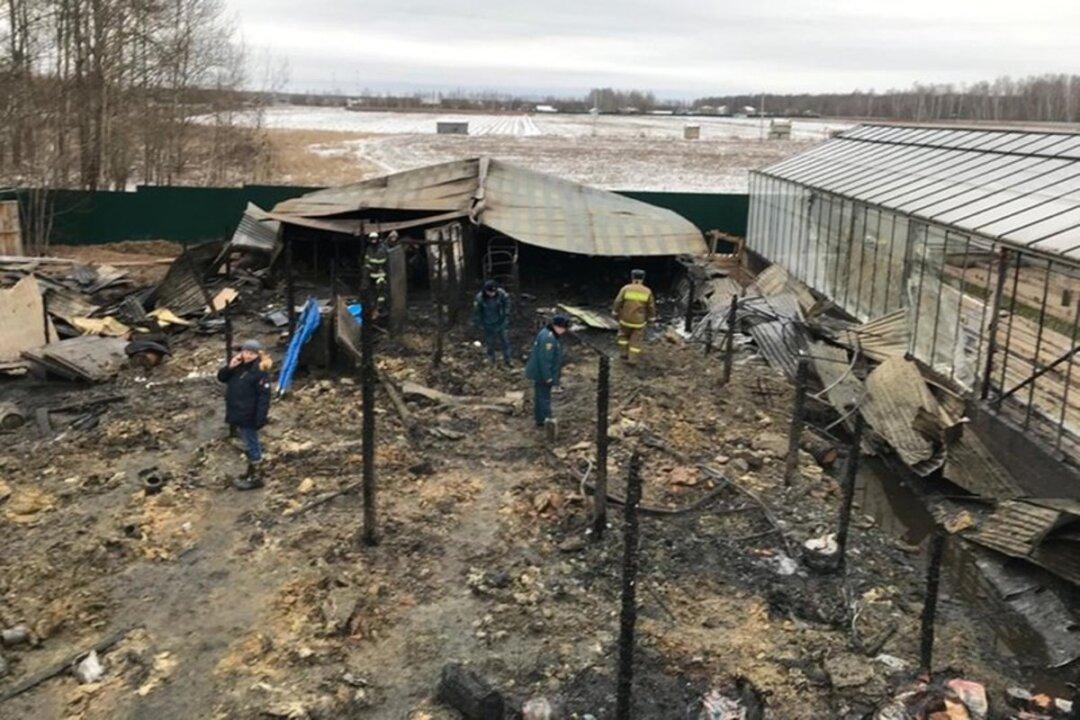 Fire at Greenhouse Farm Kills Eight Migrants in Moscow