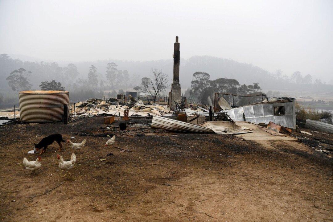 Bushfires Clean-Up Too Slow, Say Councils
