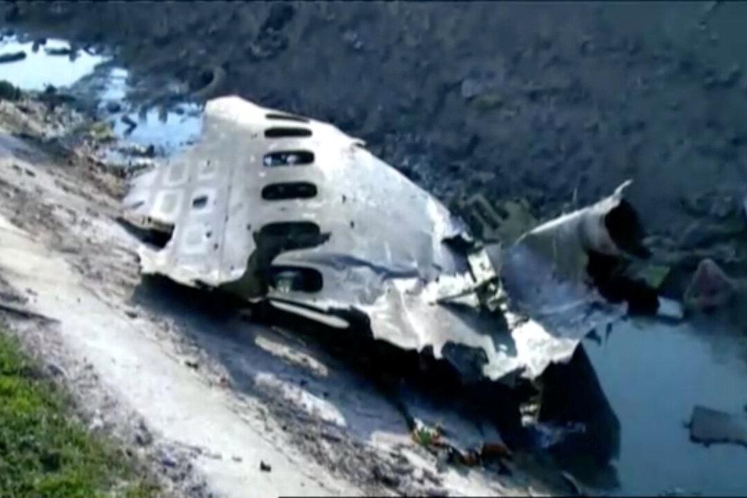 Ukrainian Official Probing Theory That Missile Took Down Ukrainian Plane in Iran