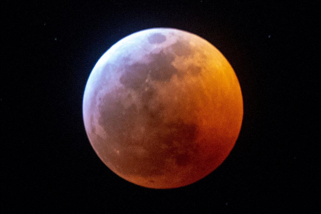 January’s Rare ‘Wolf Moon Eclipse’ Heralds the First of 2020’s 13 Full Moons–and Here’s What to Expect