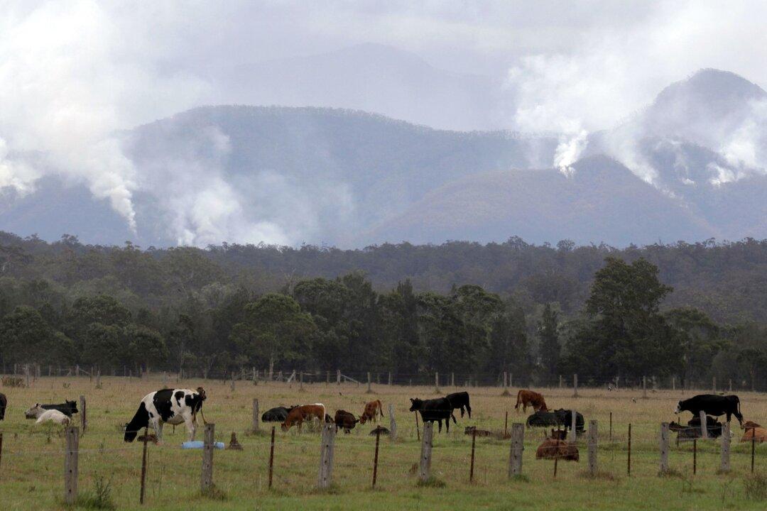 Canadian Team to Head to Australia Next Week to Help Rescue Animals