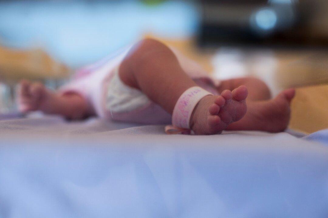 Florida Mom Has Two Sets of Twins in One Year