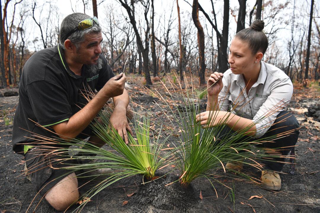 Indigenous Burn Practitioner Urges Changes to Australia’s State Fuel Management Policies