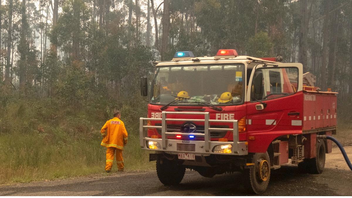 Downpours Provide Relief to Australia’s Bushfire-Ravaged East as Morrison Finalizes Recovery Plans