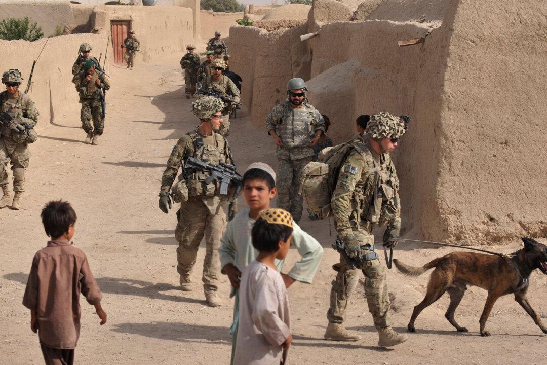 Army Ranger Dog Maiko Killed Engaging Militants in Afghanistan, Saves Lives of Ranger Regiment