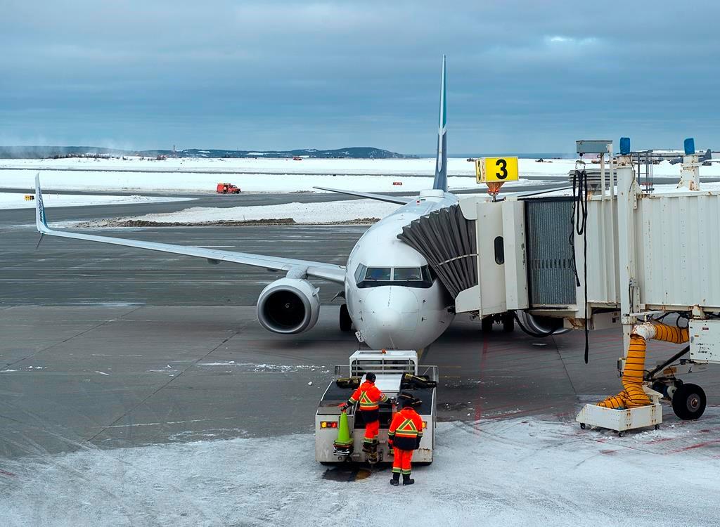 Hopes for Normalcy in Life and Death Slowly Return to St. John’s, Newfoundland After Blizzard Emergency