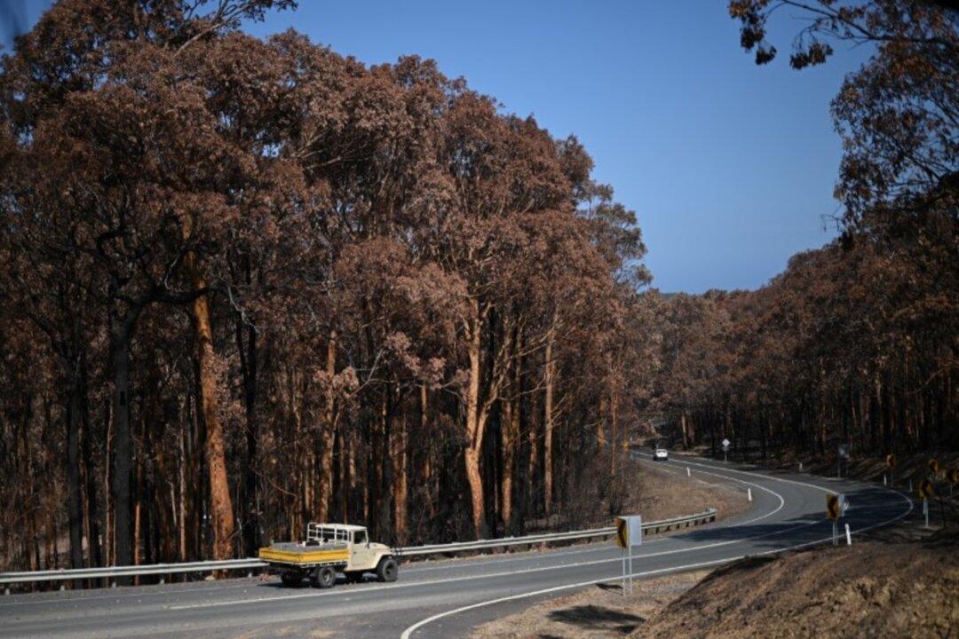Australia Battles New Wildfire Threat as Smoke Cloaks Capital