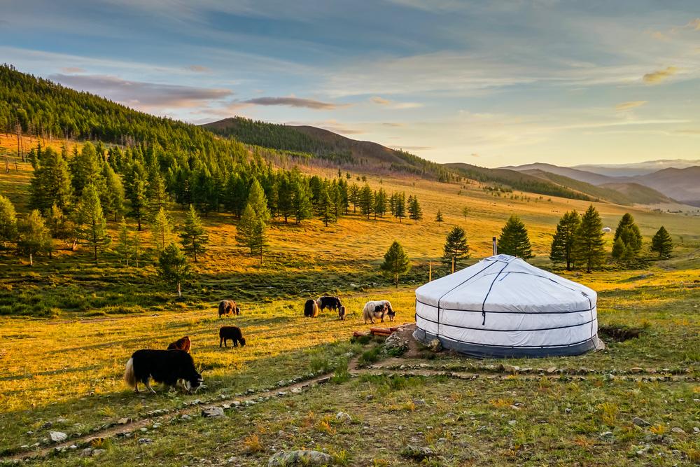Magical, Mystical Mongolia: 10 Things to Know