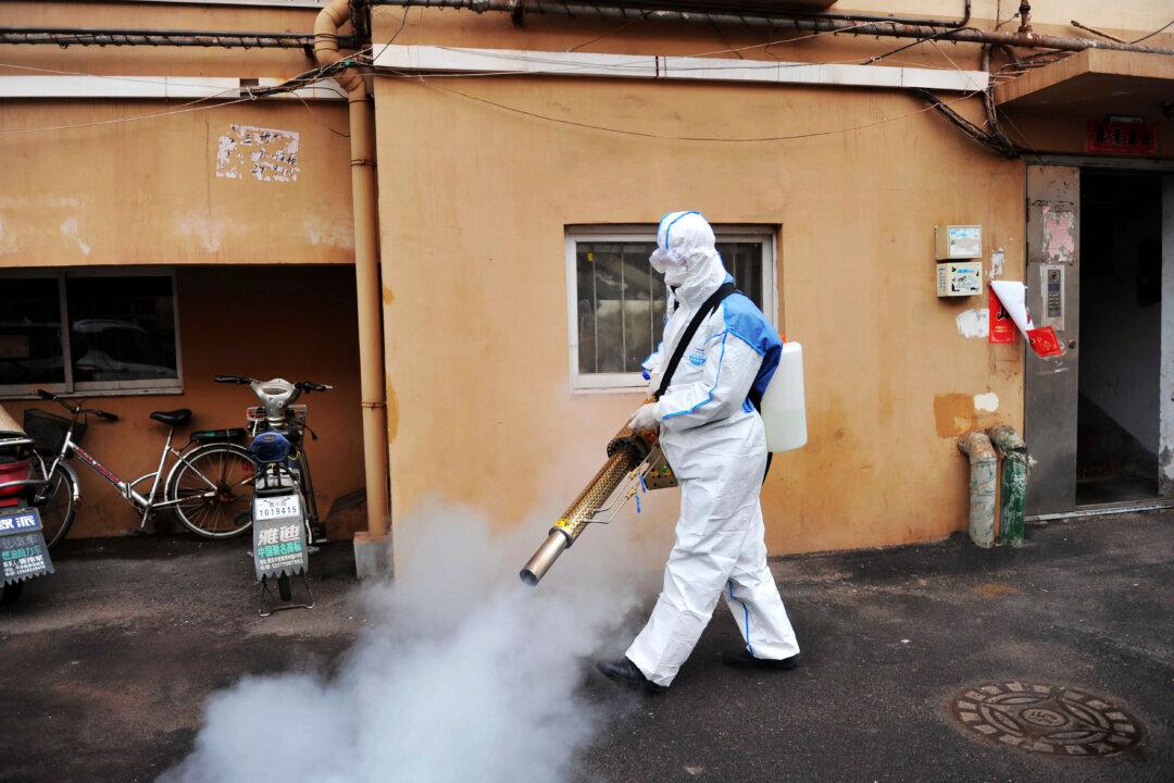Members of Congress Call for Shutting Down Flights Between China and US Amid Coronavirus Outbreak