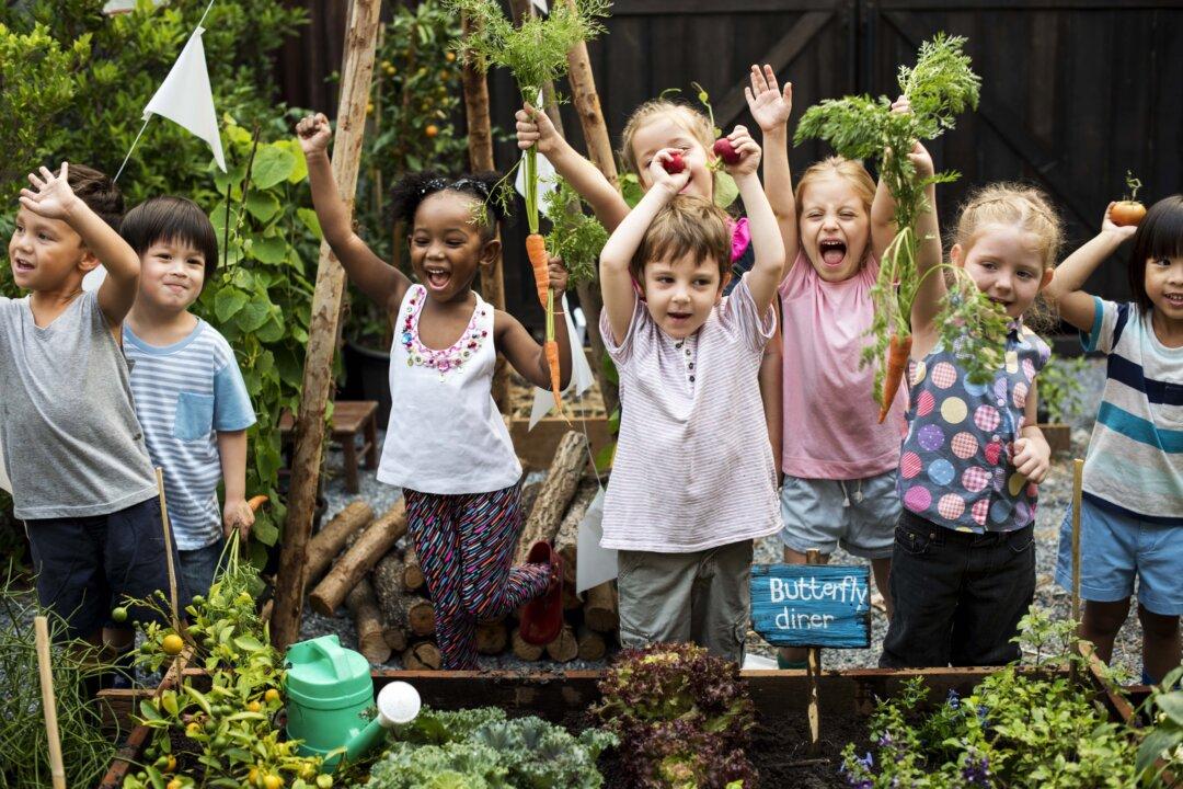 School Gardens Reconnect Kids With Food