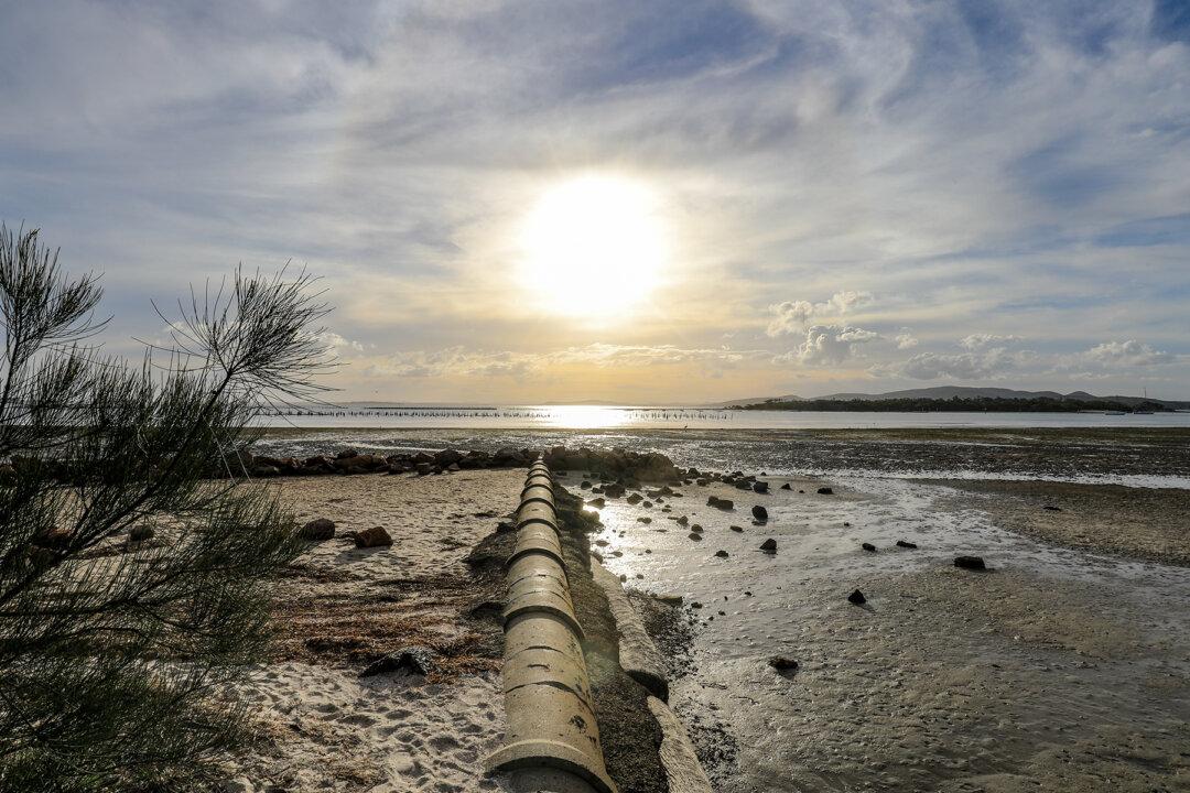 Have You Seen Nets Hooked to Sewerage Pipes? This Genius Trick Is What the World Needs