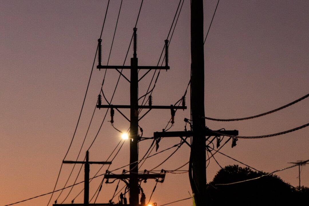 10,000 Kilometres of New Transmission Infrastructure Needed for Net Zero: Green Advisory