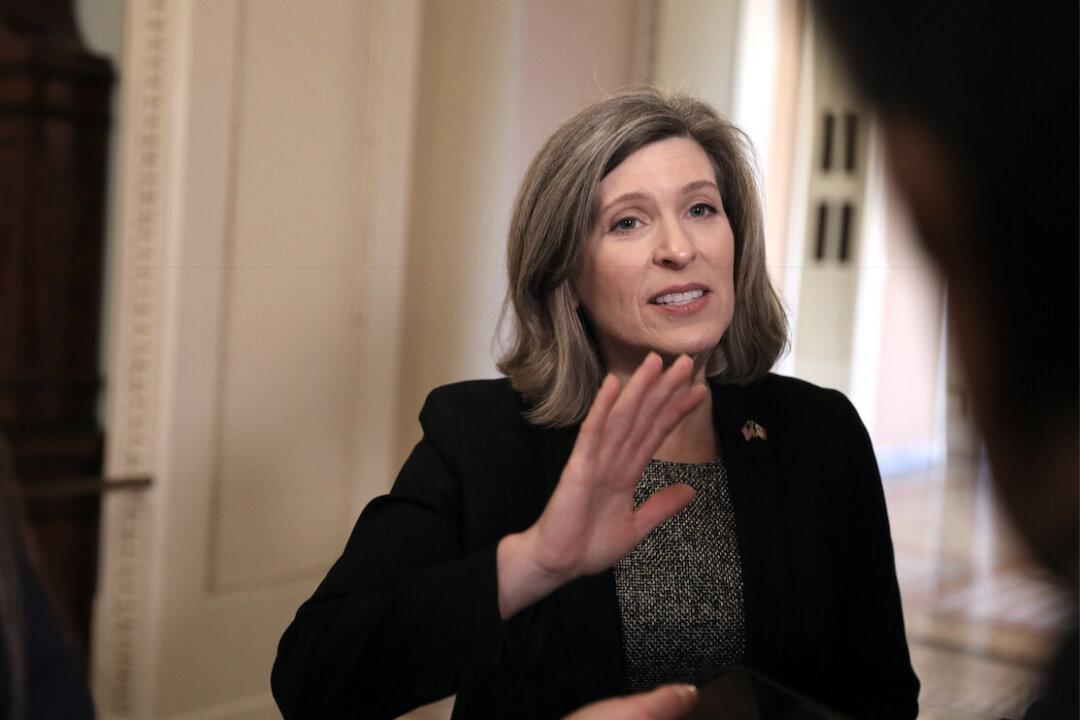 Government Spends Tax Dollars on Studies to Train Pigs, Dolphins to Play Video Games: Joni Ernst