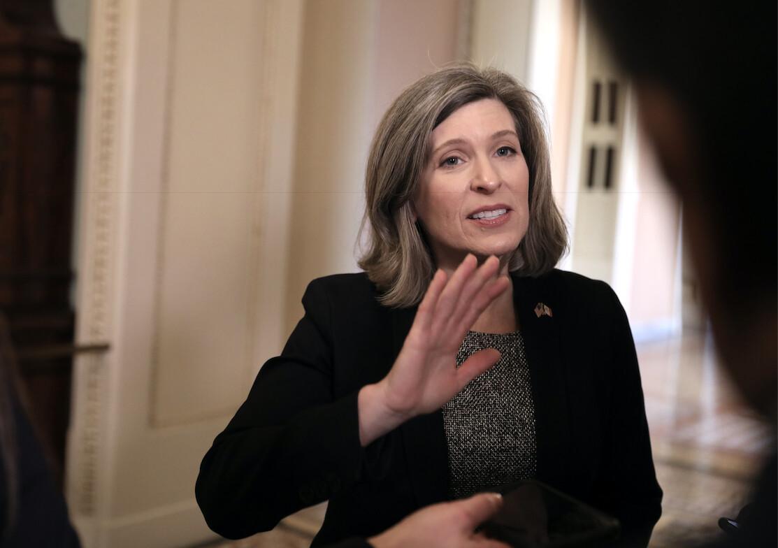 Government Spends Tax Dollars on Studies to Train Pigs, Dolphins to Play Video Games: Joni Ernst