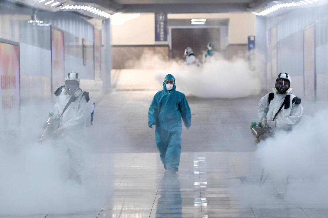 Chinese Netizens Question Source of the Coronavirus Outbreak