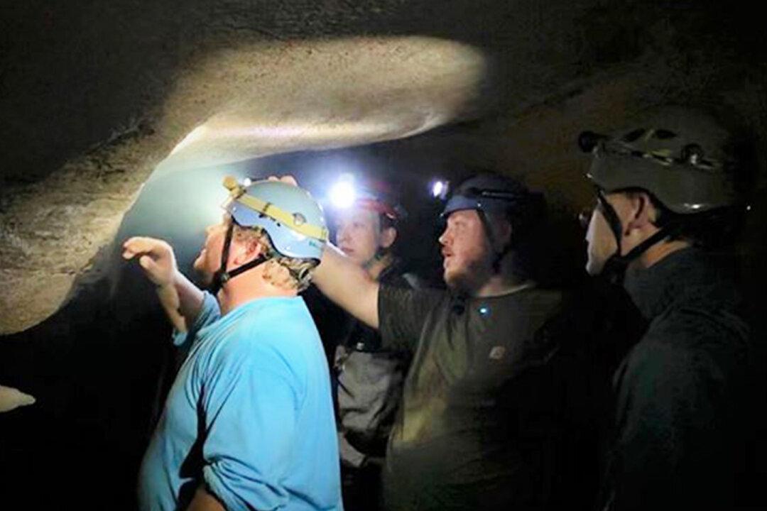 Paleontologists Unearth 330-Million-Year-Old Shark’s Head Inside Mammoth Cave Park, Kentucky
