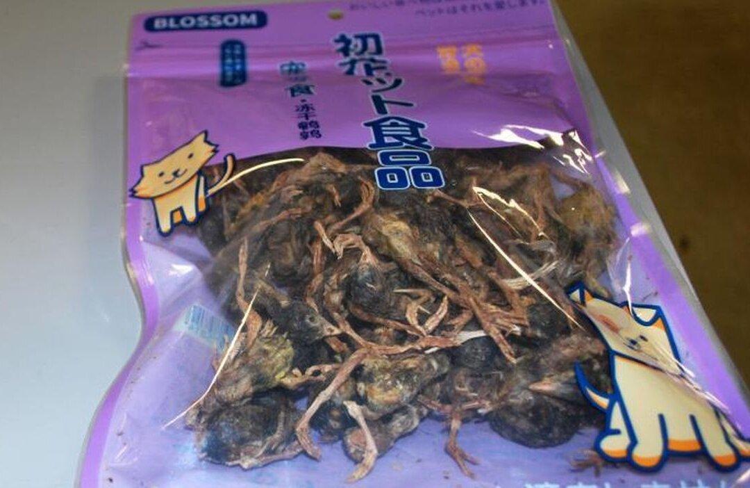 Customs Agents Seize Bag of Dead Birds From Passenger Traveling From China