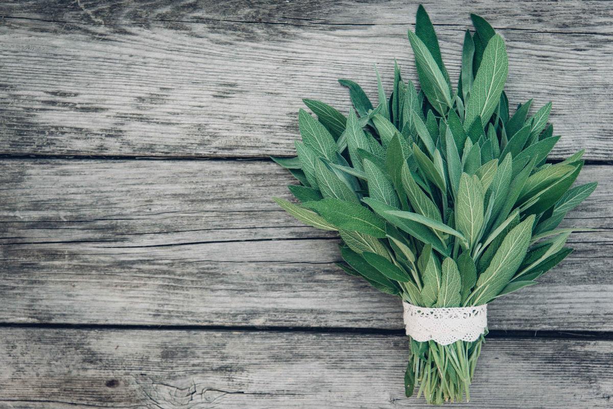 The Amazing Mind Body Benefits of Sage