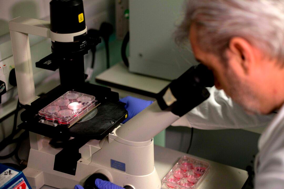 Virus With Genes Scientists Can’t Identify Discovered in Brazil