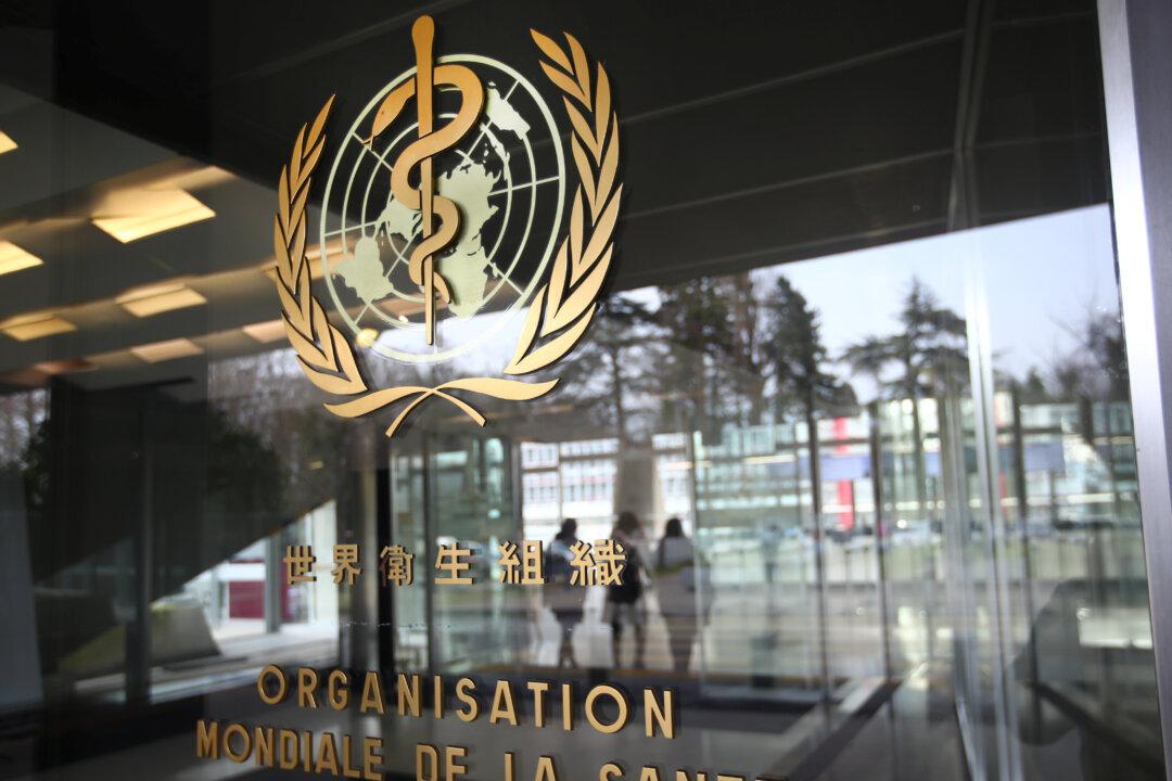 WHO Insider Gives Analysis of Its $31 Billion Pandemic Plan