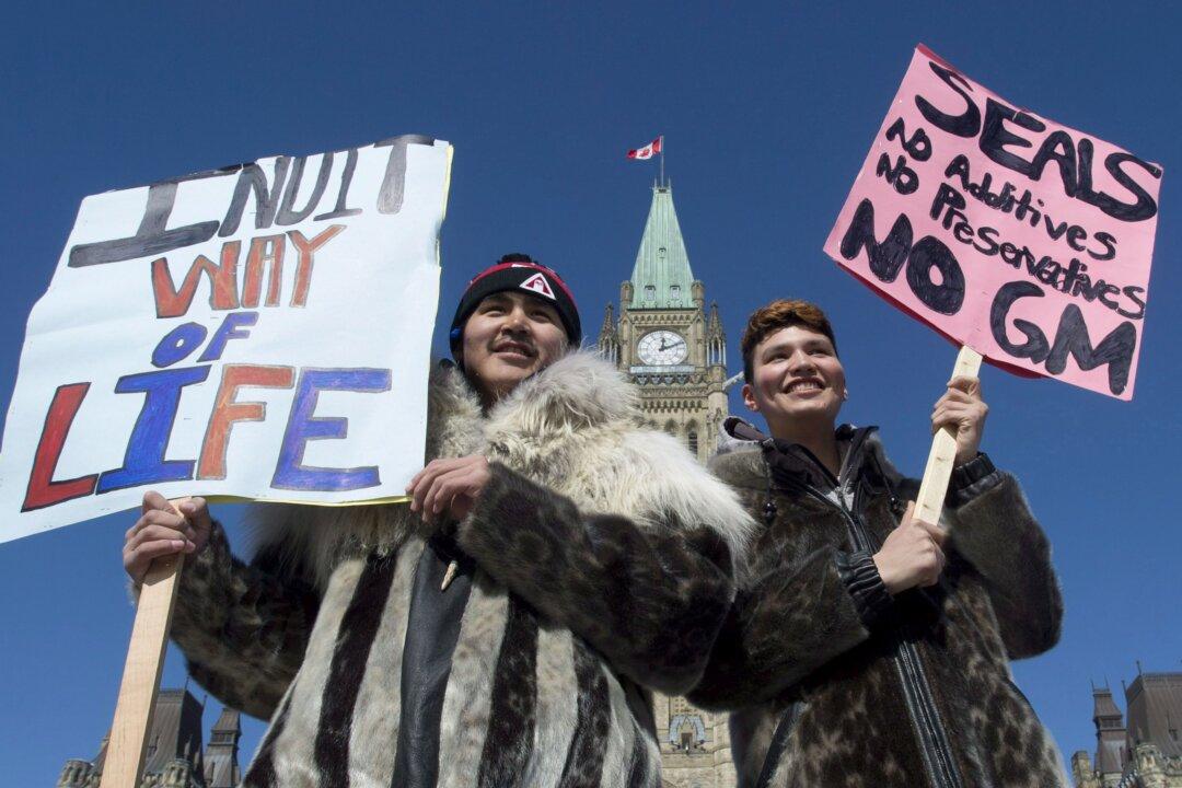 Sealskin Fashion Designer Brings Economic Relief to Inuit Craftswomen