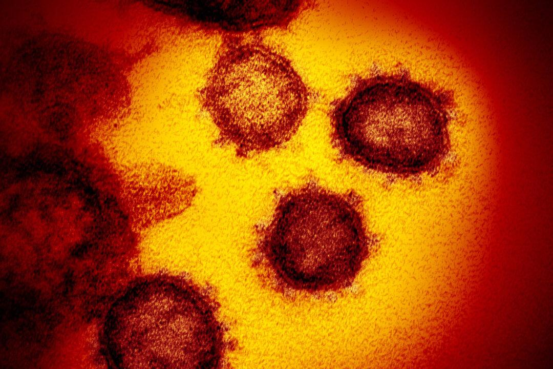 France Announces First Coronavirus Death in Europe