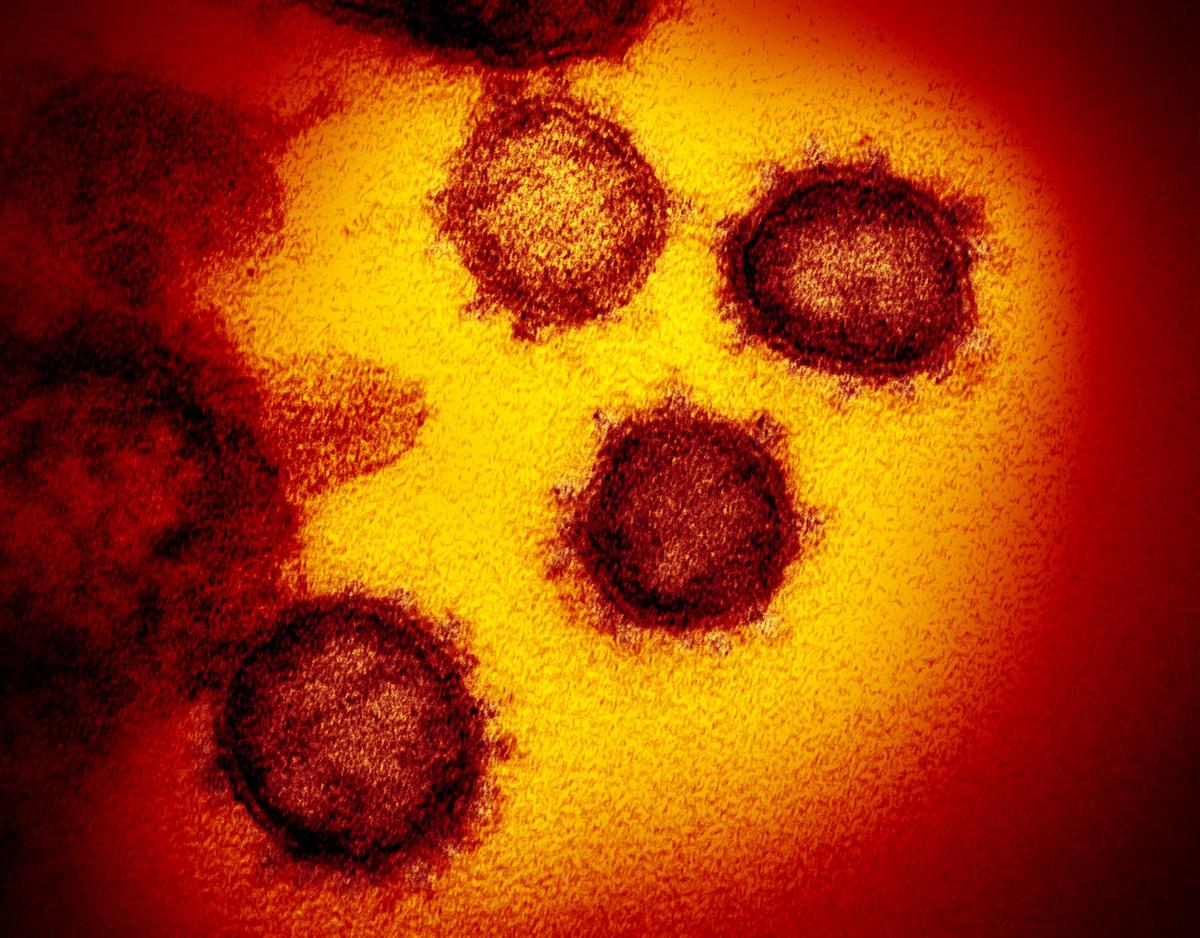 France Announces First Coronavirus Death in Europe